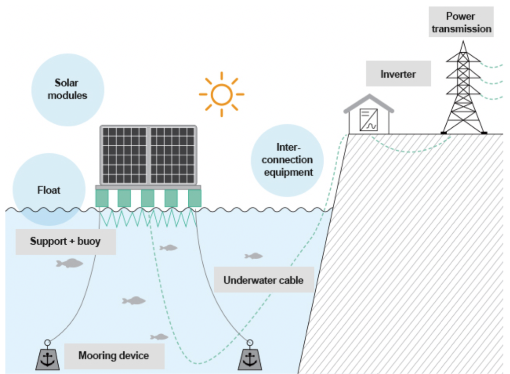 Innovation 2: Floating Solar Farms