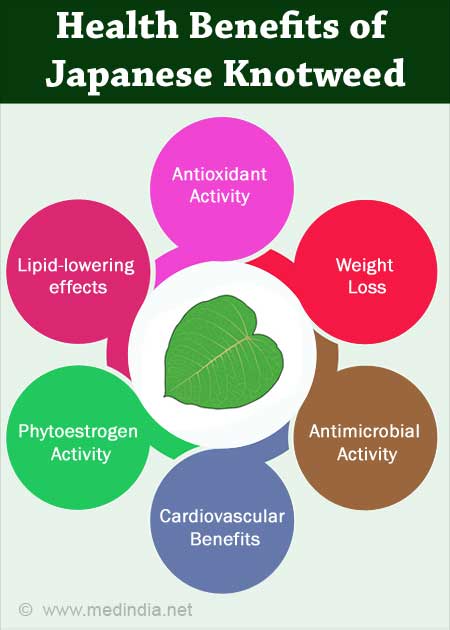 Health Benefits of KamakuraPasuta Kyotoyodob