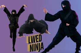 The Benefits of Lwedninja for Novice Gamers