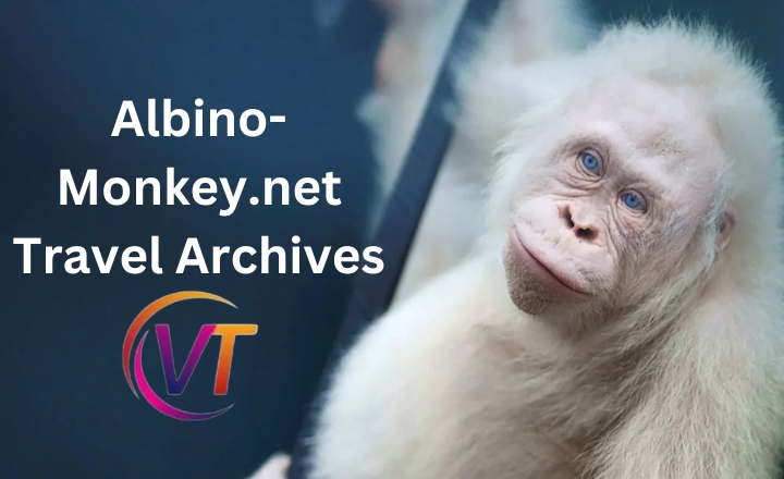 What is Albino-Monkey.net Travel Archives?